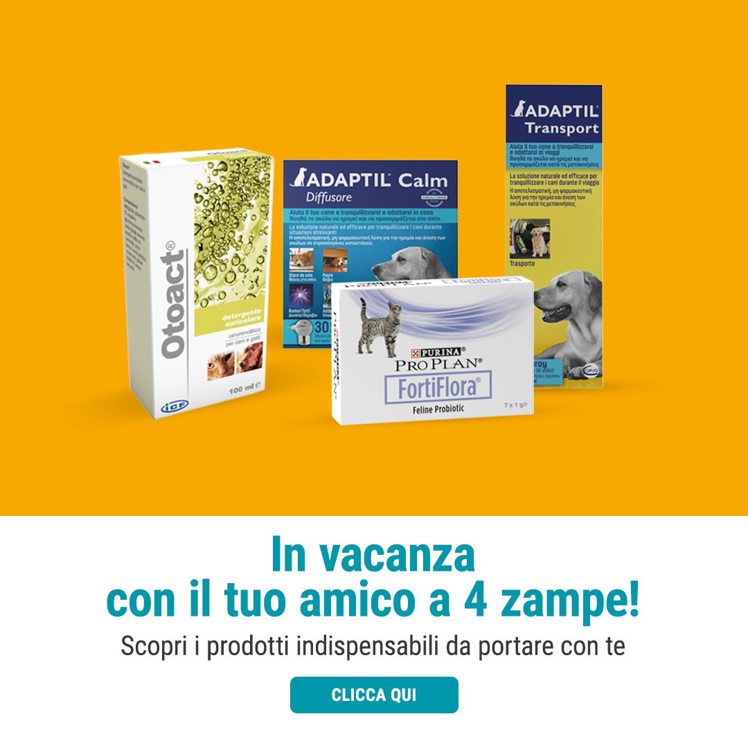 amico a 4